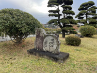 0252C2E2-32A5-40D6-9EBA-89C88AEA7002
