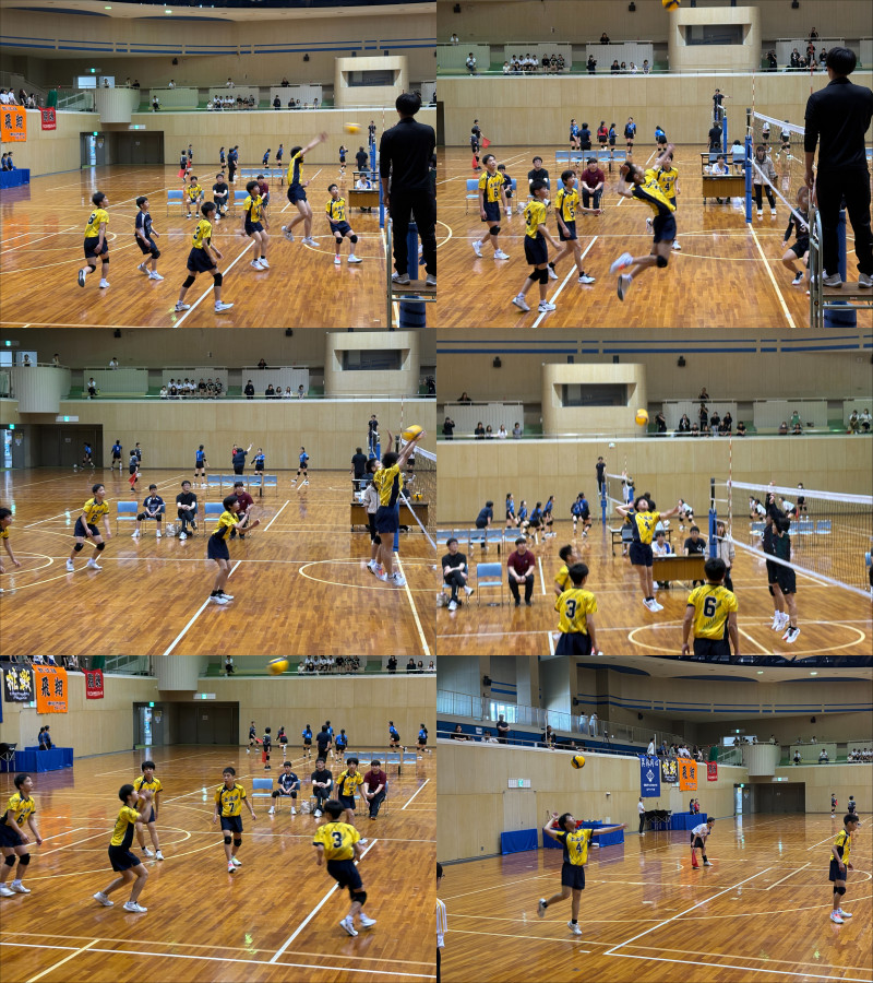 🏐